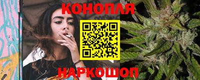 амф Новозыбков