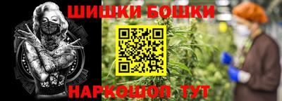 амф Новозыбков