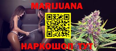 амф Новозыбков