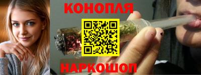 амф Новозыбков